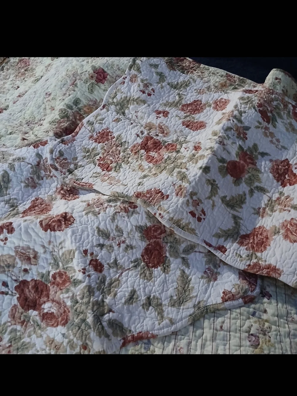NWOT-2-Floral Quilted Pillow Sham - Cream with Rose Print